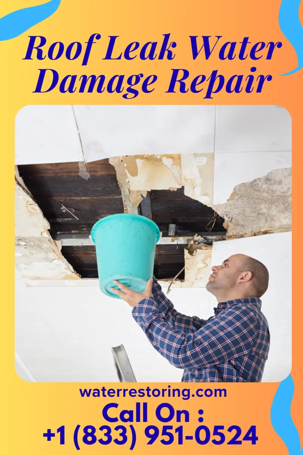 Roof Leak Water Damage Repair in Chattanooga, TN
