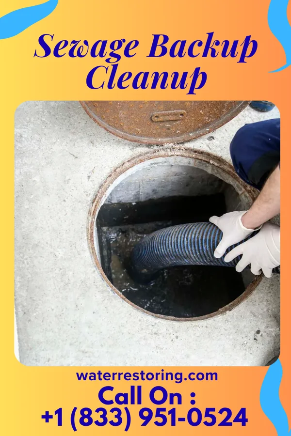 Sewage Backup Cleanup in Chattanooga, TN