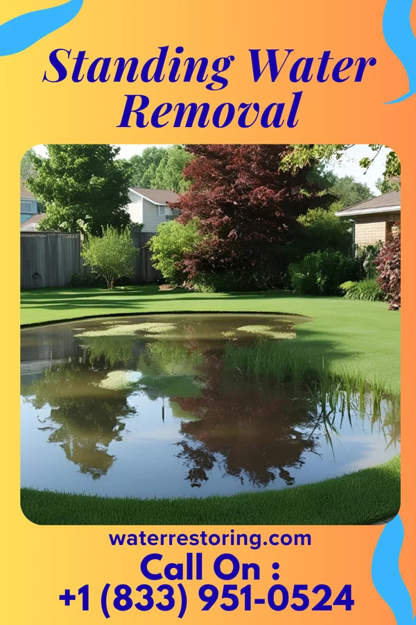 Standing Water Removal in Chattanooga, TN